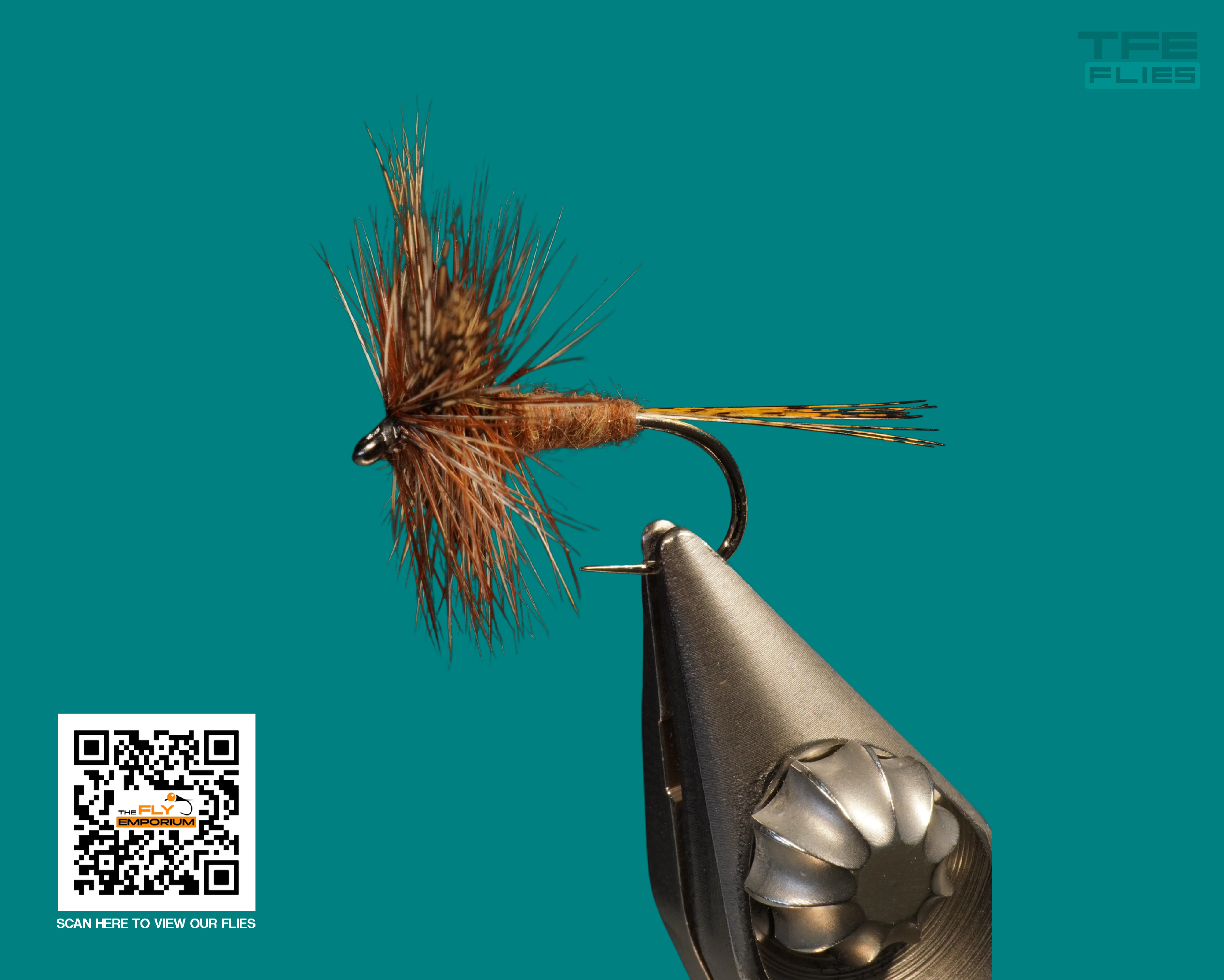 Get Ready for our New Launch every quarter